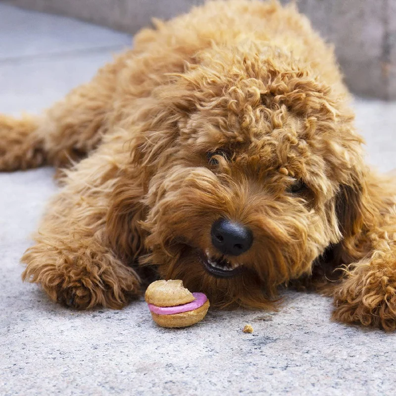 Crème Brûlée Dog Macarons (Single) from Bonne Filou