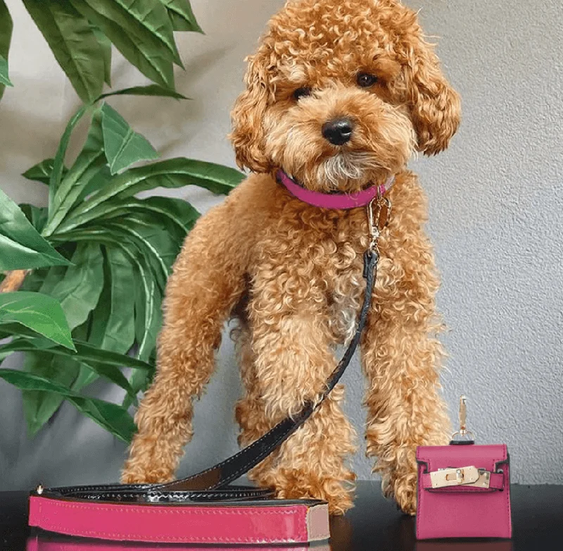 The Bella: Handcrafted Pet Leash