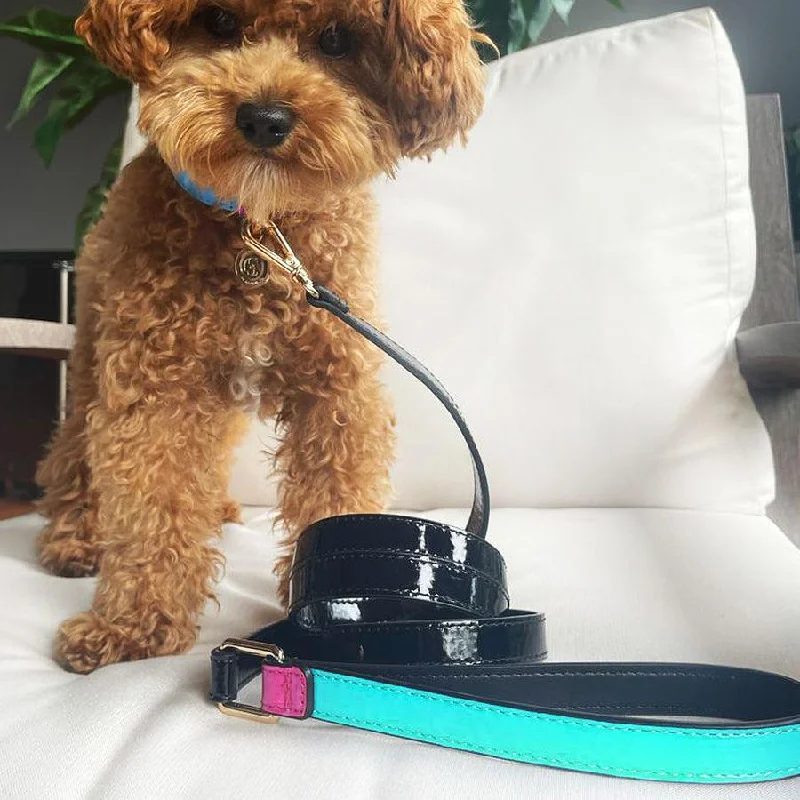 The Molly: Handcrafted Pet Leash