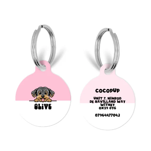 Personalised Dog Cartoon ID Tag - Pink