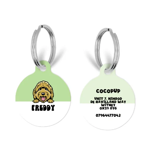 Personalised Dog Cartoon ID Tag - Green